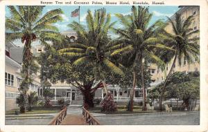 Honolulu Hawaii Moana Hotel Banyan Coconut Tree Antique Postcard K70593