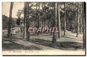 Old Postcard Arcachon Into the Woods