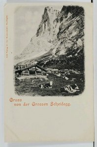 Switzerland Grossen Scheidegg, Cattle & Cabin Scene Berner Oberland Postcard G4