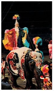 Ringling Bros. Barnum Bailey Circus - Elephant Glamour Abounds