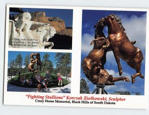 Postcard Fighting Stallions, Crazy Horse Memorial, Black Hills, Crazy Horse, SD