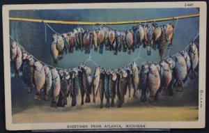 Greetings from Atlanta, MI - String of fish - 1947