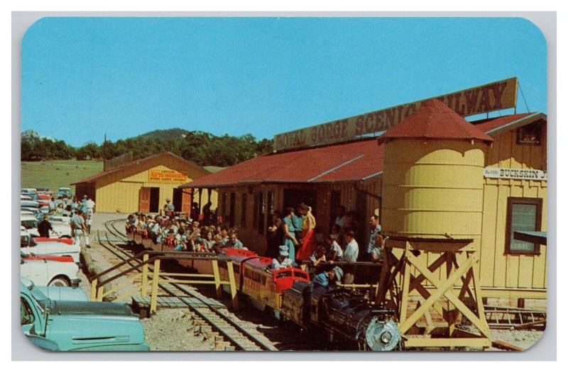 Canon City Colorado Royal Gorge Scenic Railway At The Station Postcard