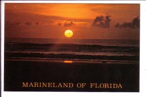 Marineland of Florida, Sunset