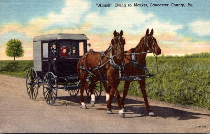 Pennsylvania Lancaster County Amish Going To Market Horse and Buggy 1954 Curt...