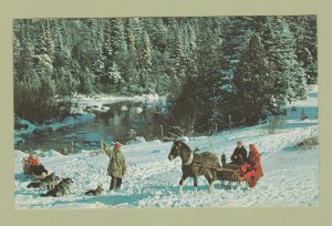 Holiday Scenic Postcard With Horse & Sleigh Country Winter Scene Dog Sled