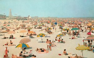 Vintage Postcard World's Safest Bathing Beach Wildwood By The Sea New Jersey NJ