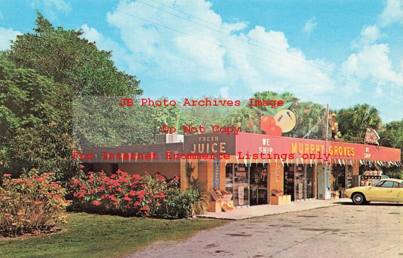 FL, Alva, Florida, Murphy Groves Store, Exterior View, Dexter Press No 7534-C
