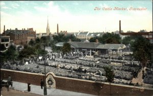 Gloucester England UK Livestock Cattle Market Bird's Eye View c1910 Postcard