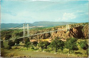 Panorama Royal Gorge Bridge NE Park Postcard VTG UNP Plastichrome Vintage Unused 