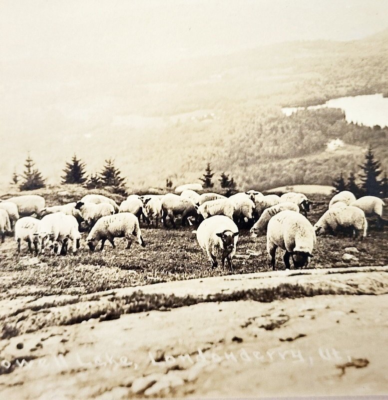 RPPC Utah Lowell Lake 1900-1910s Sheep Farm Londonberry Landscape PCBG7A