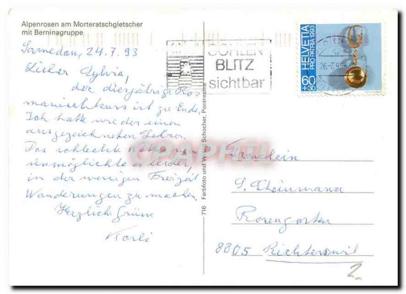 Postcard Modern Alpenrosen am Morteratschgletscher
