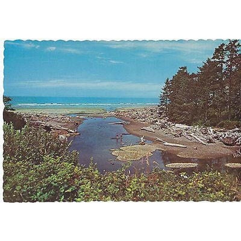 Kalaloch Beach-As Viewed from Becker's Resort-Postcard