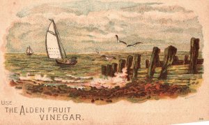 1880s-90s Sailboat Ocean Segal Alden Fruit Vinegar HC Ackmann Staple Trade Card