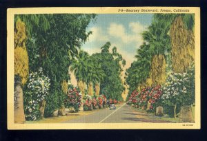 Fresno, California/CA Postcard, Palm Tree Lined Kearney Boulevard, 1943!