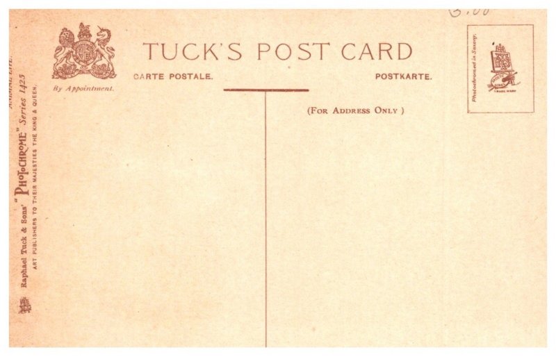 Dog ,  Tired of Play