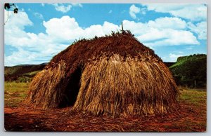 Wikiup Straw Hut Fort Apache Indian Reservation Show Low AZ Postcard L12