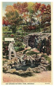 Hot Springs National Park Vintage Linen Arkansas Postcard