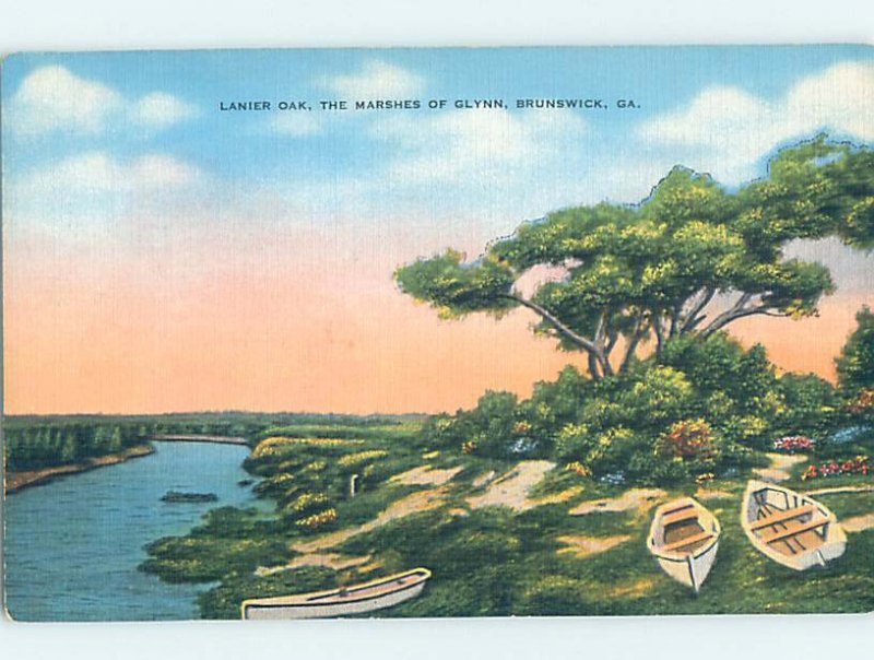 Linen NATURE SCENE Brunswick Georgia GA AD4341