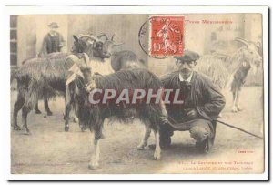 Types Southern Old Postcard The goatherd and his flock TOP (goat goat)