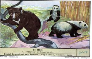 VICTORIAN TRADE CARD, LIEBIG BEAR SERIES (5 CARDS).