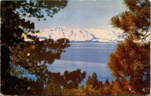 Snow Covered Sierras Lake Tahoe Postcard VTG UNP Mike Roberts Vintage Unused 