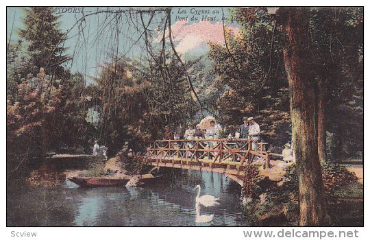 TOURS (Indre et Loire), France, 1900-1910s ; Les Cygnes au Pont du Haut