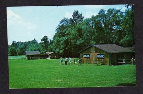 MI Black River Farm Ranch CROSWELL MICHIGAN POSTCARD PC