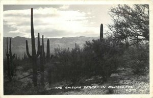 Frashers RPPC X-373; Arizona Desert in Silhouette at Evening, Saguaro Cactus