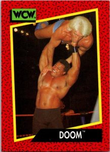 1991 WCW Wrestling Card DOOM Rob Simmons Butch Reed sk21206