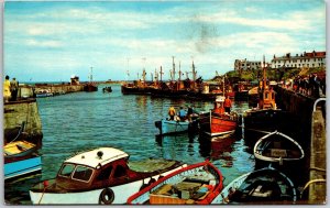 The Harbour Seahouses England Port Authority Boats Ships Buildings Postcard