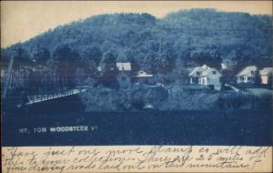 Woodstock VT Gen View c1905 Cyanotype Real Photo Postcard 