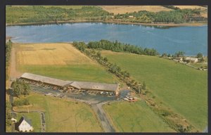 PEI Prince Edward Island MONTAGE Lobster shanty North Restaurant Motel ~ Chrome