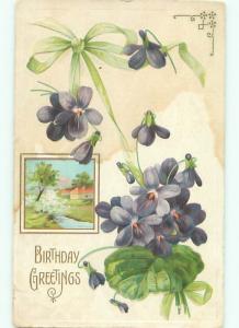 Divided-Back BEAUTIFUL FLOWERS SCENE Great Postcard AA4008