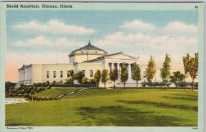 Shedd Aquarium Chicago Illinois Unused Linen Postcard H76