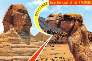 Land of Pyramids - Egypt