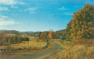 Greetings from Reading Pennyslvania Autumn Splendor  1959 Chrome Postcard