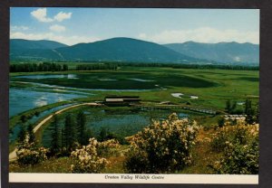 BC Creston Valley Wildlife Ctr  British Columbia Canada Carte Postale Postcard