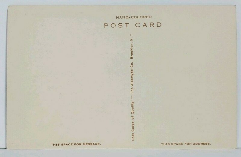 Pinehurst NC THE CAROLINA Hand Colored North Carolina Postcard M14