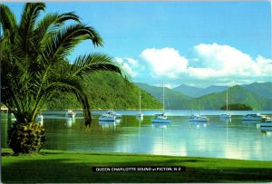 Queen Charlotte Sound at Picton New Zealand Postcard