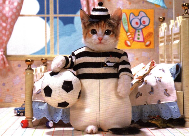 Soccer Referree Cat