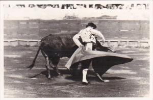 Corrida Bull Fight Matador and Bull Real Photo