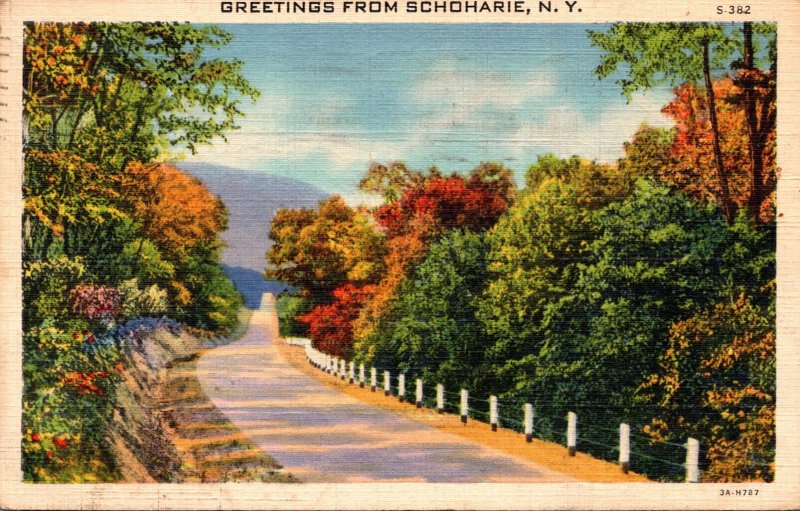 New York Adirondacks Greetings From Schoharie 1941 Curteich