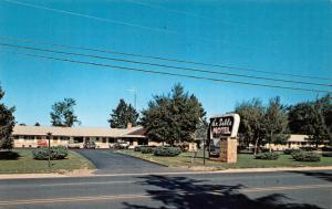 GRAYLING, MI Michigan   AU SABLE MOTEL  Roadside  CRAWFORD CO  Chrome Postcard