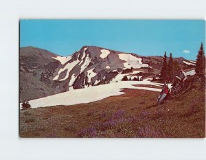 Postcard Obstruction Point In The Olympic Mountains, Olympic National Park, WA