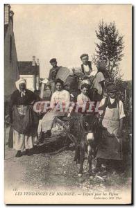 Old Postcard Folklore Wine Vineyard Harvest Sologne Depart for vines Donkey M...