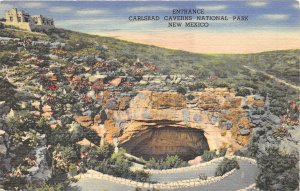 Carlsbad Caverns New Mexico 1950 Postcard Entrance To Caverns
