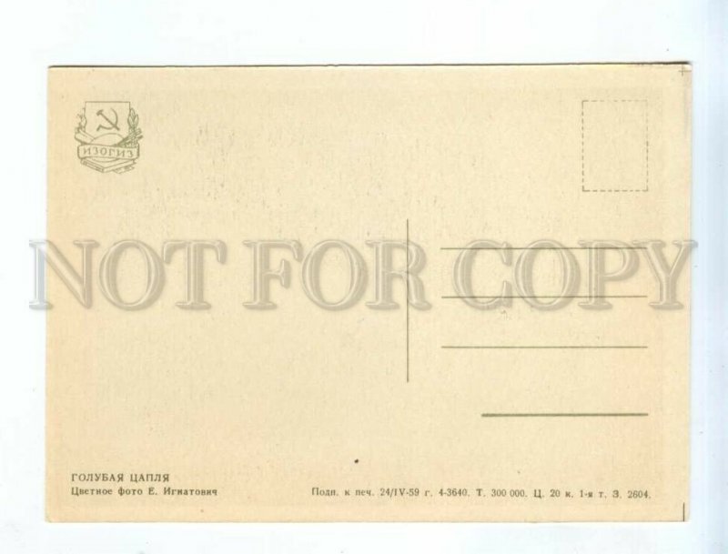 237888 RUSSIA Moscow ZOO blue heron old postcard
