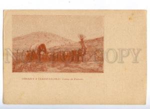 172225 SOUTH AFRICA Transvaal road to Pretoria Vintage PC