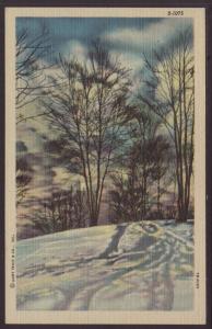 Winter Scene Postcard 